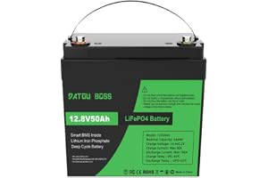 DATOUBOSS 12 V 50 Ah LiFePO4 batteri 50 A BMS 15 000+ cykler max 640 W