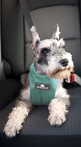 Sleepypod Clickit Sport Utility Safety Harness (Robin Egg Blue, Medium) by Clickit Sport Safety Harness