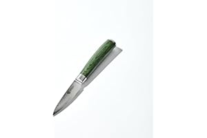 HexClad Paring Knife, 9 cm Japanese Damascus Stainless Steel Blade, Full Tang Construction, Pakkawood Handle