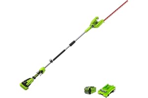Greenworks G40PHAK2 Cortasetos Pértiga a Batería Eje Divisible, Cuchillas Doble Acción 51 cm, Corta Ramas 18 mm Grosor, Pivote Cabezal 125°, 3000 spm, Batería 40 V 2 Ah y Cargador