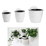 【Diseño liso en la parte posterior】 Una unión perfecta con la pared, con un orificio para colgar, puede usar un gancho o clavo adhesivo para colgar la planta.