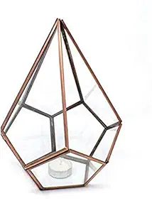 AYMH Glass Conical Flower Pot, Crystal Clear Vase for Living / Long Glass vase / Glass vase Glass Flower Glass vase Decoration for Home / Glass jar for Plants Indoor / Room/Home/Office