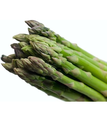 5 Plantas De Espárragos Blancos Frigo A+ - Plantas Naturales Holandesas Para Huerto Y Arriates