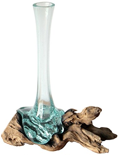 Geschenk Deko Gamal Wurzelholz B-WARE Glasvase 35 cm Teak Wurzel Holz Teakholz Bali Glas Vase L