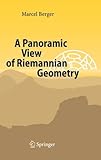 Image de A Panoramic View of Riemannian Geometry