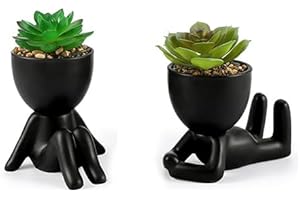 Laelfe 2 Pezzi Piante Succulente Artificiali con Vasi in Ceramica a Forma di Uomo Nero, Mini Piante Grasse Finte, Piante Artificiali Piccole Piante Grasse per Scrivania Ufficio Casa