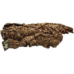 Komodo Habitat Bellen - Medium