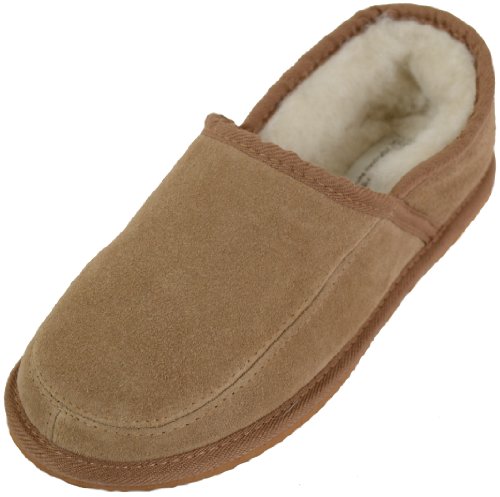 « Click to Enlarge and to go to Amazon »