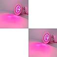 D'Mak 1 Watt LED COB/Spot Light/Button Light Round Driver Included (Pink) - Pack of 2