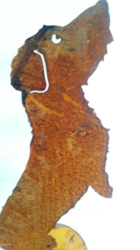 Rauhhaardackel „Willi“ auf Platte aus Metall, rost, 60 x 40 cm, Saremo Gartendekoration - 2