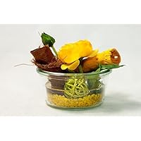 Gelbe Ranunkel in der Glasschale-Tischgesteck,Tischdeko mit künstlicher Blume