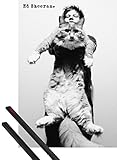 1 Ed Sheeran, The A Team, Gato Póster, dimensiones aprox. 91x61 cm