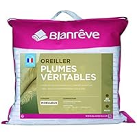 Blanrêve Lote De 2 Almohadas De Pluma