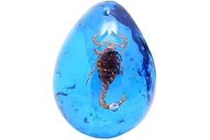 Funrelaxer Bernstein Fossil mit Insekten Proben Steine Kristall Exemplare Insekten Exemplar Bernstein Anhänger DIY Schmuck Anhänger