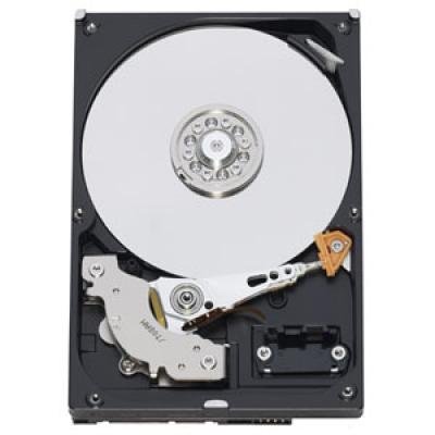 Preisvergleich Produktbild Western Digital AV-GP 500 GB