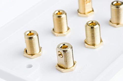 MSG 4.0 Speaker Wall Face Plate Kit – Complete Audio Surround Sound Set (4 Banana Plugs)