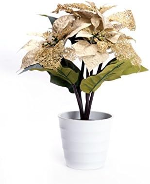 Blossom Collection 30cm Scented 5 Light LED Silk Xmas Star Flower Pot Battery Powered Gold