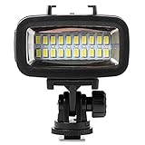 tauchen led blitzer Das Paket beinhaltet, 16:9-Bildschirm , 20pcs LED-Lampe, Stand,Blitzschuhadapter (1/4 Zoll Schraubenloch ), USB-Ladekabel und 3 Blitz-Diffusor.