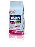  Advance Affinity Pienso para Perro