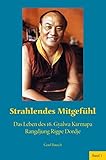 Image de Strahlendes Mitgefühl: Das Leben des 16. Gyalwa Karmapa Rangdjung Rigpe Dordje. Band 1.