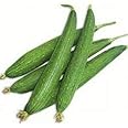 Natural Fresh Tori/Ridge Gourd Seed- 80