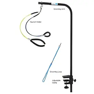 Downtown Pet Supply Grooming Arm with Clamp (36