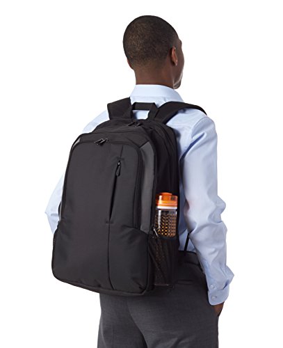 AmazonBasics Laptop-Rucksack geeignet für 38,1cm (15 Zoll) - 4