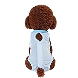 🍋🍋🍋cinturon perro collares para perros antiparasitos collares para perros peque collares para perros grandes chubasquero perro grande protector maletero perro bebedero perro automatico pipetas perros peque pipetas para perros pipetas perros frontline perros coche perros juguetes perros peque perros cama perros collar perros de caza perros de verdad mascotas easy walk arnes perro collar perro rosa collar perro pinchos cochecito para perros peluches de perros