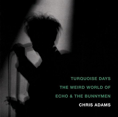 Turquoise Days: The Weird World of Echo and the Bunnymen