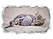 Produktbild 3D Wandtattoo Baby Katze Tier Kätzchen klein Ball spielend Tapete Wand Aufkleber Wanddurchbruch sticker selbstklebend Wandbild Wandsticker Wohnzimmer 11P1075, Wandbild Größe F:ca. 140cmx82cm