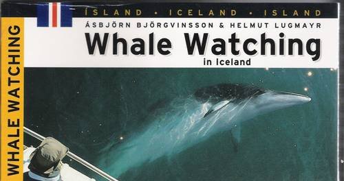 Whale Watching in Iceland livre