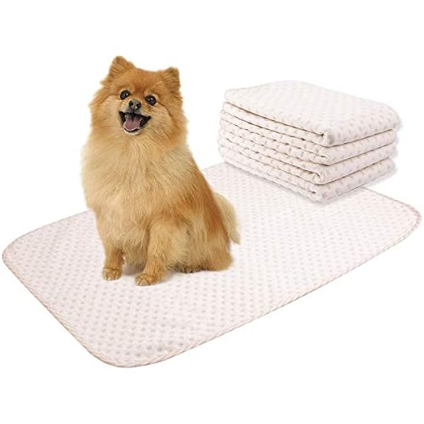 Yangbaga 4pc Aleses Chien Lavables Tapis D Apprentissage De La Proprete Pour Chat Chiot Chihuahuas 50 70cm Amazon Fr Animalerie