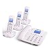 Produktbild Gib niemals auf Digitale schnurlose Festnetztelefon Büro zu Hause drahtlose Heimbasis Maschine Festnetz eins für DREI (Color : 2)