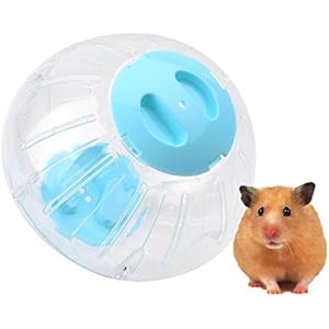 Kleine Tier großer Komfort Gymnastikball Joggen Spielzeug für Haustier Hamster Ratten Mäuse Rennmäuse Chinchilla Guinea Pig Eichhörnchen 18,5cm/18,5cm