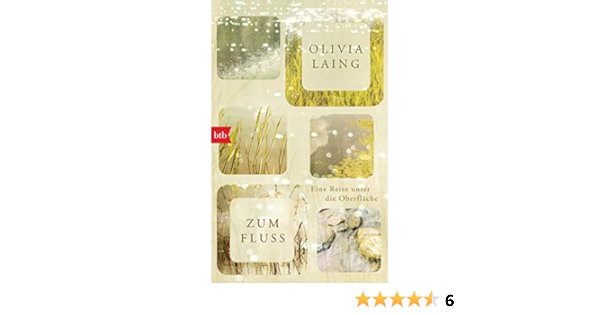 Zum Fluss Eine Reise Unter Die Oberflache Laing Olivia Mohr Thomas Amazon De Bucher