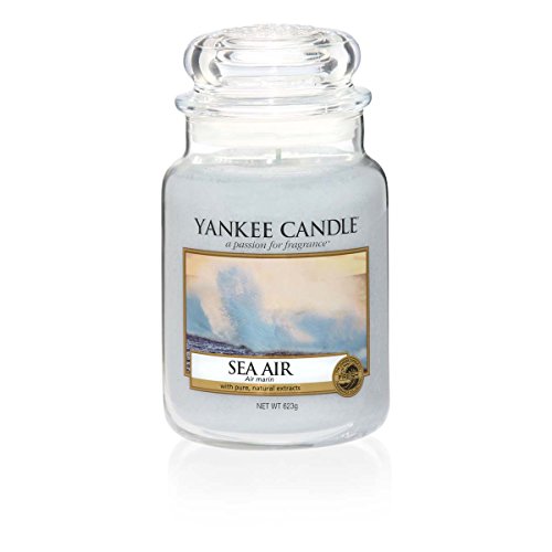 Yankee Candle (YANK6) 1533661E Coastal Living Duftkerze, Glas, Pastell Blau, 17.5 x 9.8 x 9.8 cm