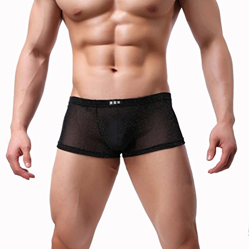 Preisvergleich Produktbild Herren Boxershorts,Beikoard Männer Unterwäsche Sexy Bequeme Atmungsaktive Unterhose Nachtwäsche Nachtwäsche Ausstattung der Perspektivemasche sexy Versuchung Antibacterial Elegant Unterhose (M, Schwarz)