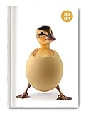 Image de Collegetimer Chick 2016/2017 - Schülerkalender A5 - Day By Day - 352 Seiten