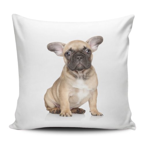 Kissenhülle / Kissenbezug 40x40cm - Motiv: Französische Bulldogge | 007