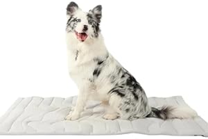 SWZEC Dr Pfoten Pfotenchill Die Innovative Kühlmatte Für Hunde