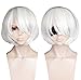 Price comparison product image Ani·Lnc Wig Nier Automata 2B Wig Cosplay Wig Silver Hair