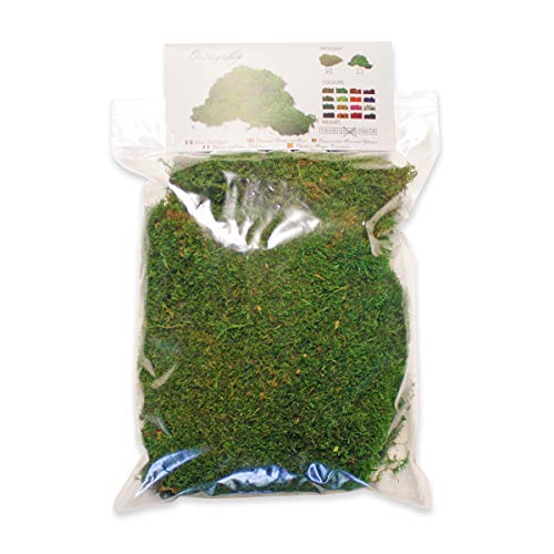 Ortisgreen Musgo estabilizado Premium 250 g. Color Verde Bosque. Ideal para Cuadros Vegetales, Diorama, belén de Navidad, modelismo. Verde estabilizado.
