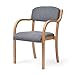 Produktbild NordiWood Esszimmerstuhl Wohnzimmer Lounge Sessel Rückenlehne Armlehne Multicolor Stuhl by Mieoson (Farbe : Gray)