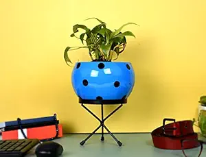 HINS Big Size Dotted Polka Plant Pot For Indoor Gardening (Blue With Stand) Metal Pots For Indoor Plants I Elevated Garden Planter I Raised Planter I Desk Plant I Raised Planter Box I Ascent Homes Metal Planter I Raised Planter Box With Legs I Brass Pots For Indoor Plants I Golden Planter I Mid Century Plant Stand I Brass Planters For Indoor Plants I Indoor Plant Stand For Living Room I Metal Planters Pot For Indoor Plants designer pots for indoor plants