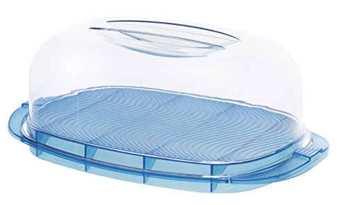 Rotho Käseglocke "Fresh" - Käse Box mit glasklarer Haube aus Kunststoff (SAN) - blau/transparent, spülmaschinengeeignet, ca. 29x17x10,5 cm (LxBxH)