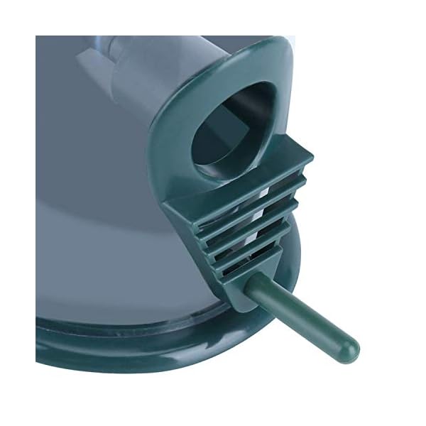 BELLE VOUS Mangiatoia per Uccelli Selvatici in Plastica da Esterno a Tubo (3pz) - capacità 368 g - 2 Mangiatoia per…
