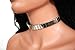 Produktbild Bondage Halsband Plattennieten | 251