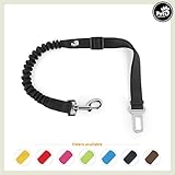 [Gesponsert]Pets&Partner® Hunde Autogurt / Sicherheitsgurt in verschiedenen Farben passend zu Halsband und Geschirr, Schwarz mit silbernem Karabiner