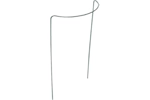 Xclou Tuteur en arc de cercle pour fleurs - Tuteur en fer pour plantes 35 x 55 cm - Tuteur à plantes de couleur verte