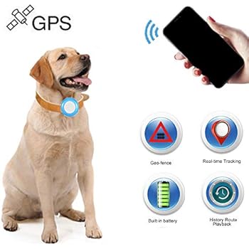 Tkmars Traceur Gps Pour Enfant Chien Chat Tk925 Gps Tracker
